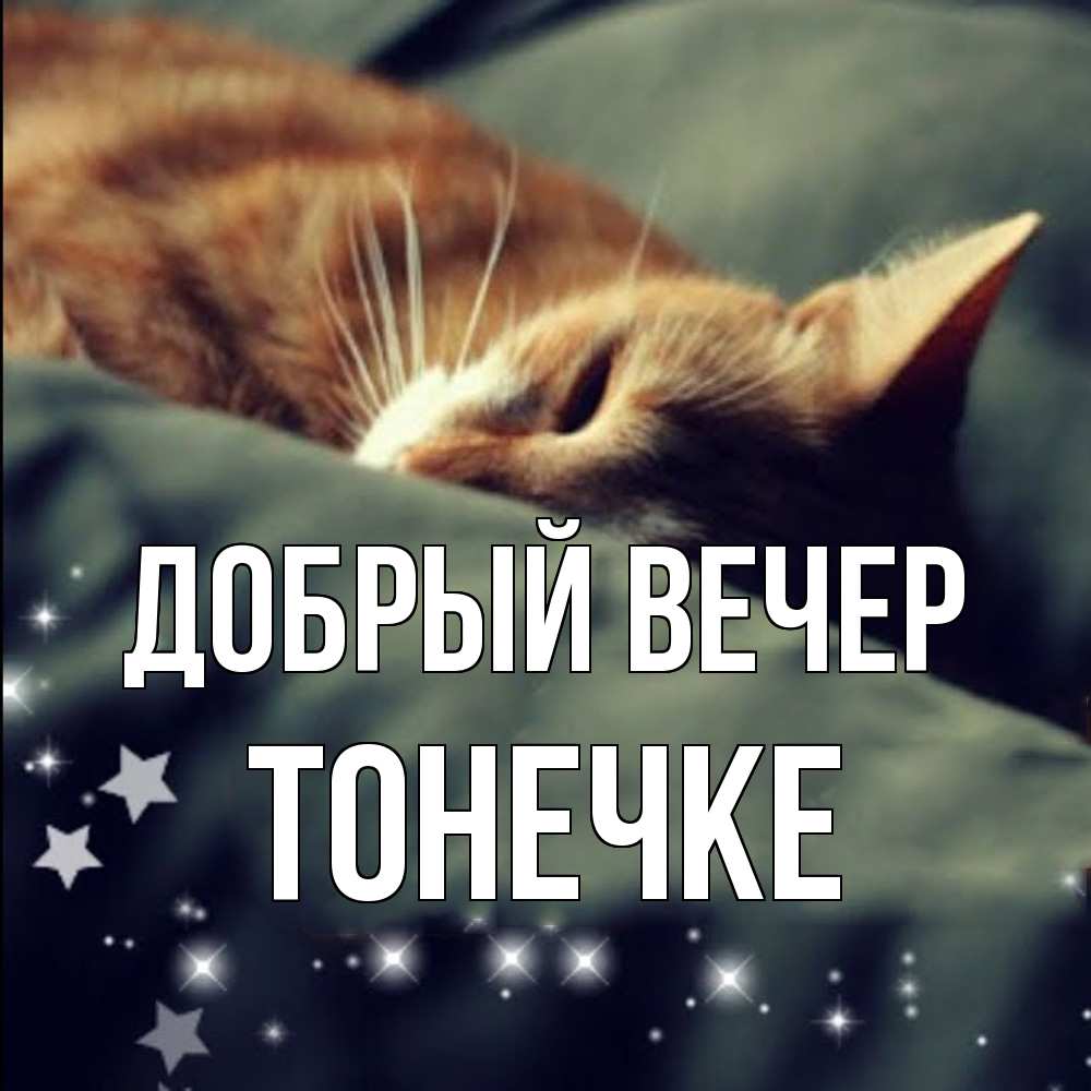 Открытка  с именем. Тонечке, Добрый вечер  