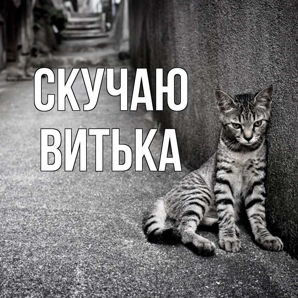 Открытка  с именем. Витька, Скучаю  