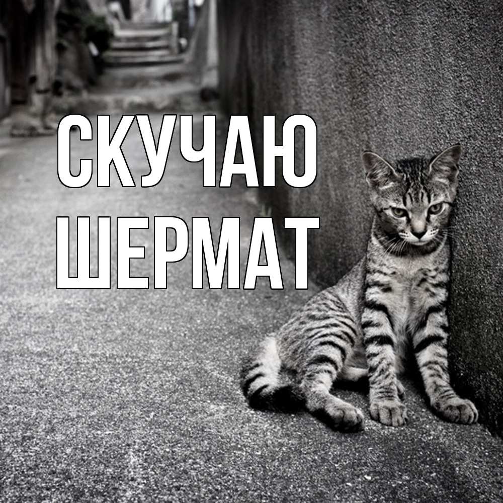 Открытка  с именем. Шермат, Скучаю  