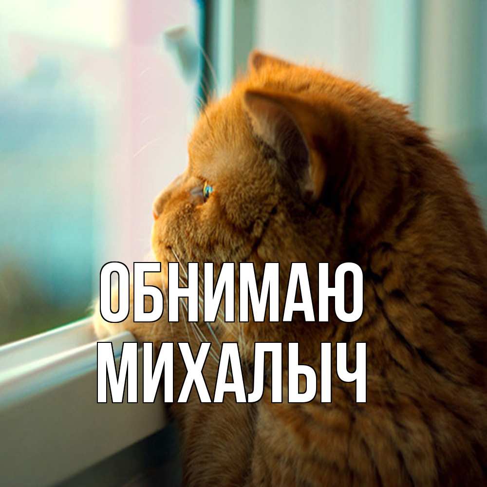 Открытка  с именем. Михалыч, Обнимаю  