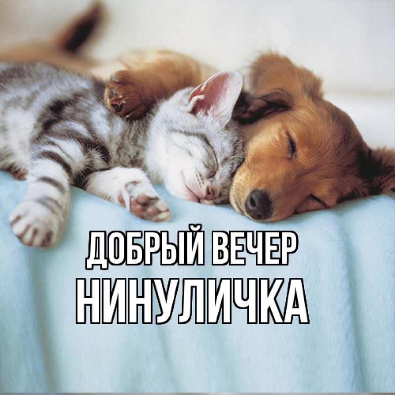Открытка с именем, Нинуличка, Добрый вечер