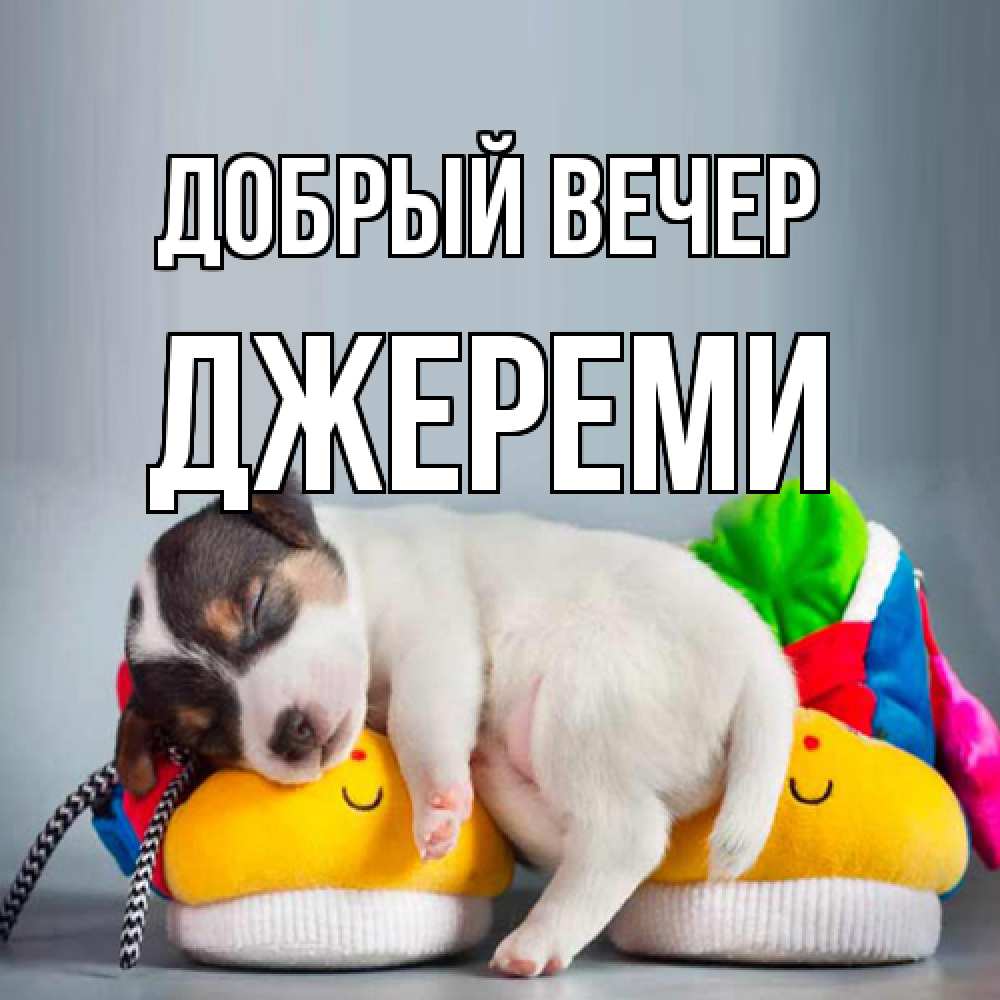 Открытка  с именем. Джереми, Добрый вечер  