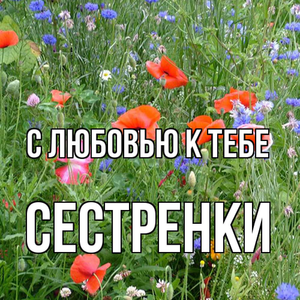 Открытка  с именем. Сестренки, С любовью к тебе  
