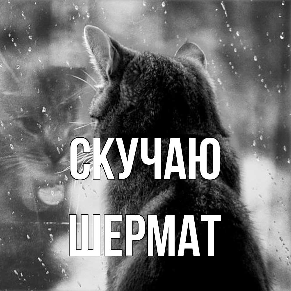 Открытка  с именем. Шермат, Скучаю  