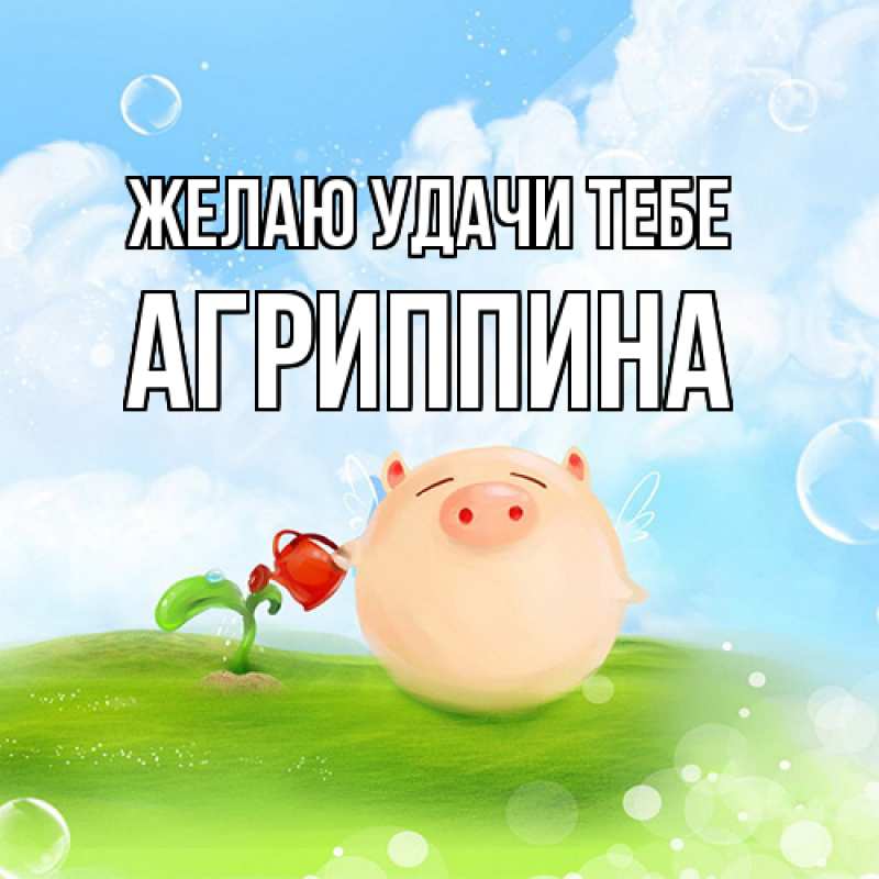Картинка Желаю удачи тебе, Агриппина