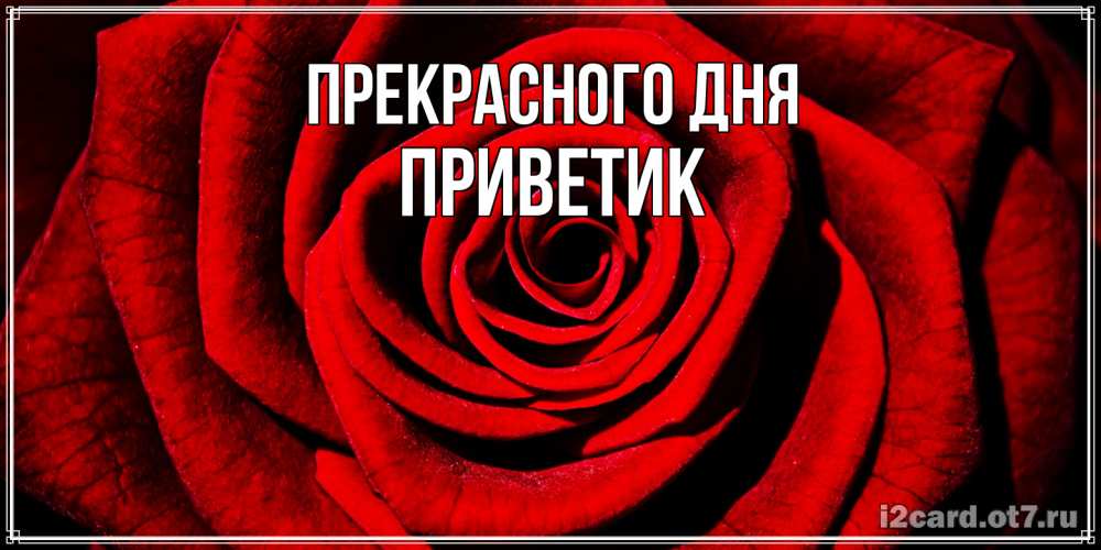 Открытка  с именем. приветик, Прекрасного дня  