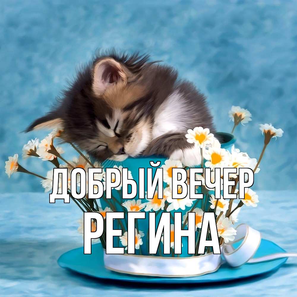 Открытка  с именем. Регина, Добрый вечер  