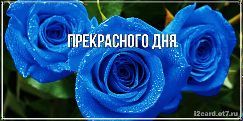 Открытка с подписью, открытка-бесплатно, Прекрасного дня