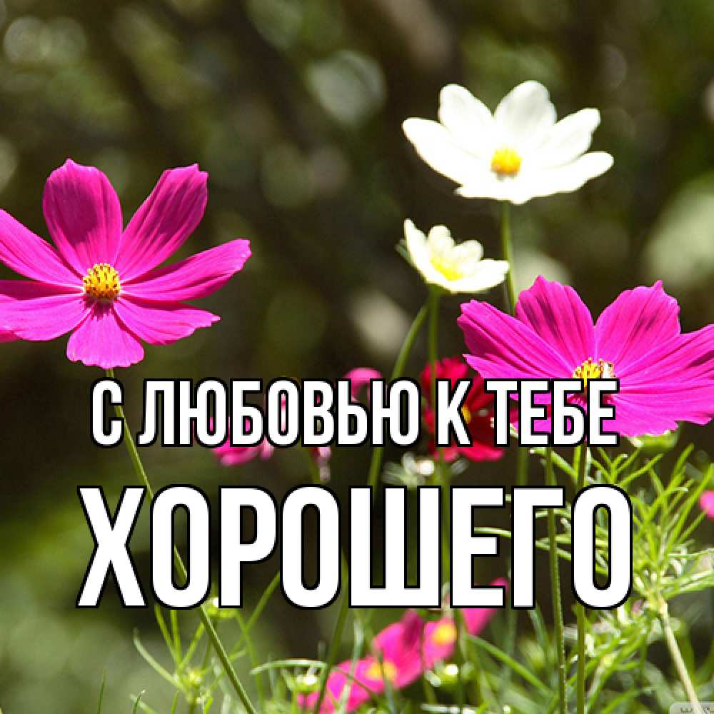 Открытка  с именем. Хорошего, С любовью к тебе  