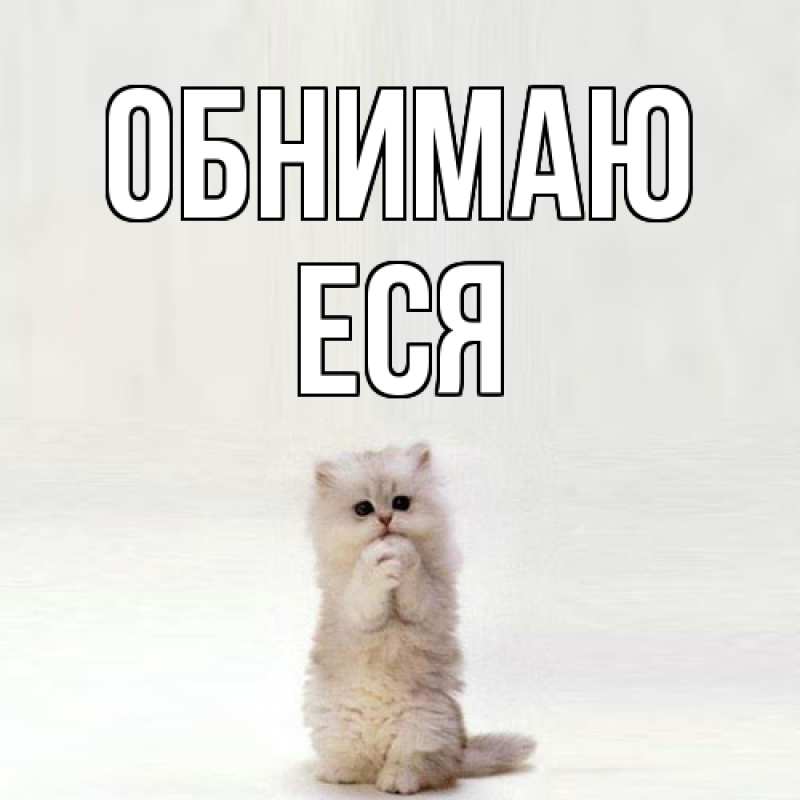 Картинка Обнимаю, Еся