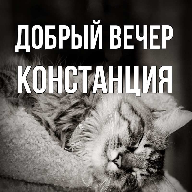 Картинка Добрый вечер, Констанция