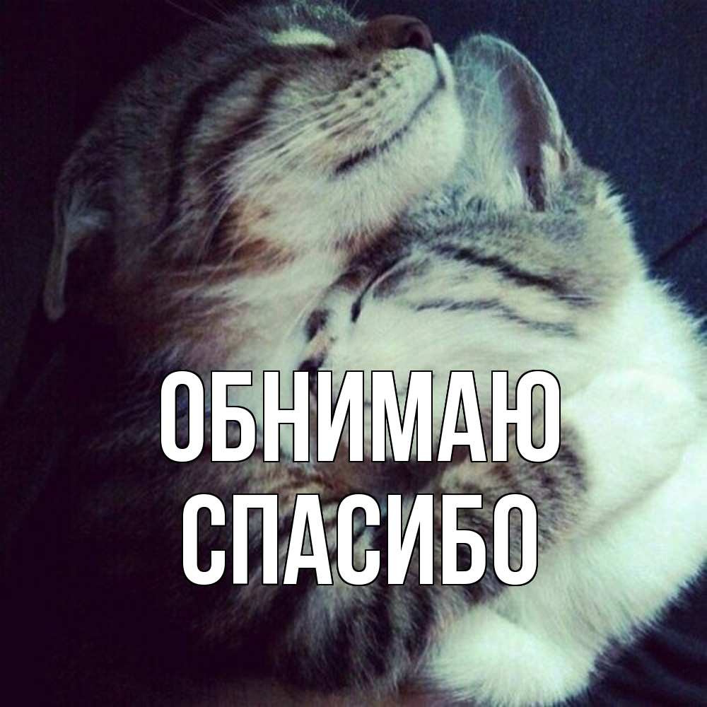 Открытка  с именем. СПАСИБО, Обнимаю  