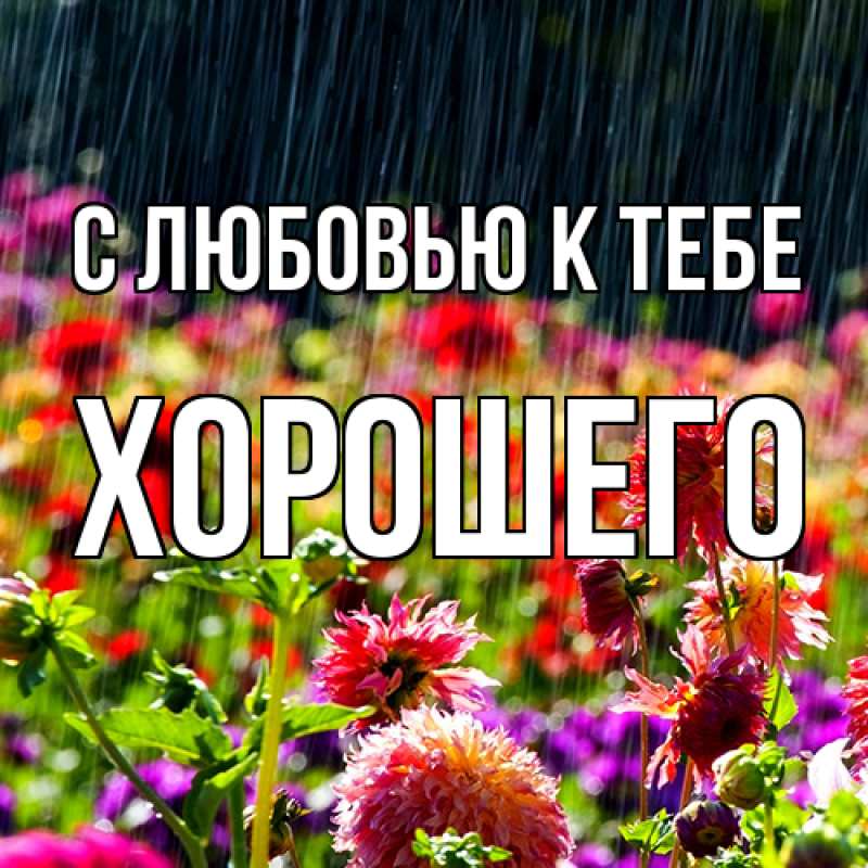 Картинка С любовью к тебе, Хорошего