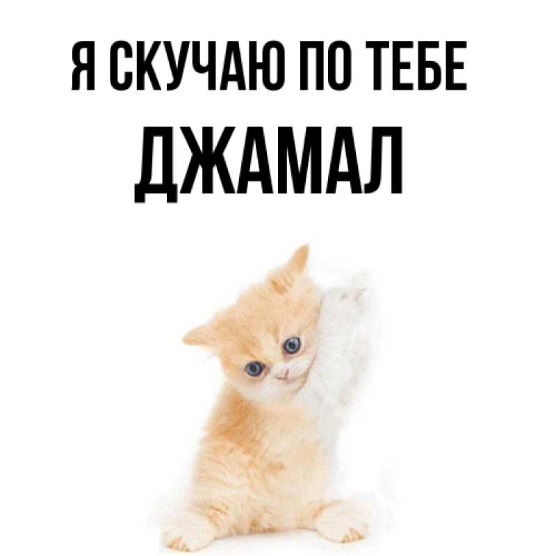 Картинка Я скучаю по тебе, Джамал