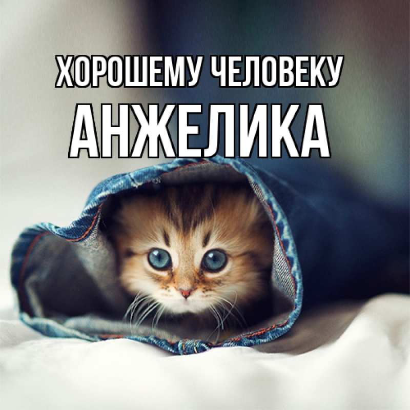 Картинка Хорошему человеку, Анжелика