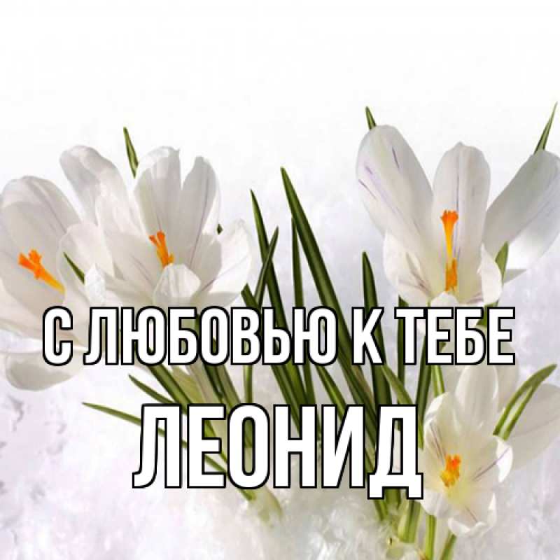 Картинка С любовью к тебе, Леонид