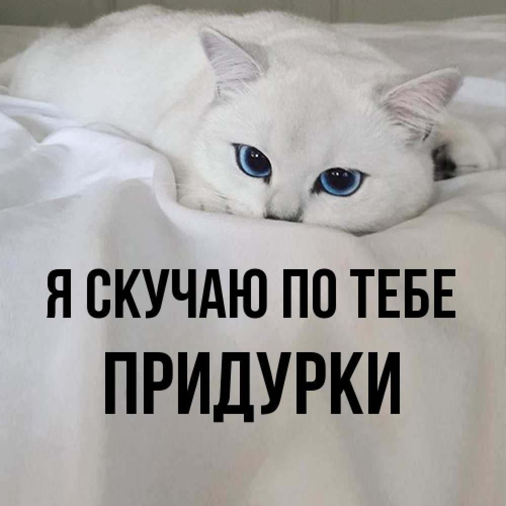 Открытка  с именем. Придурки, Я скучаю по тебе  