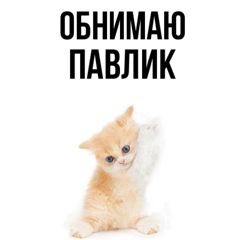 Картинка Обнимаю, Павлик