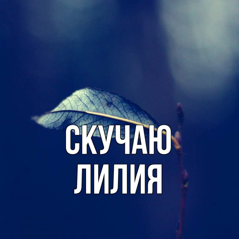 Картинка Скучаю, Лилия