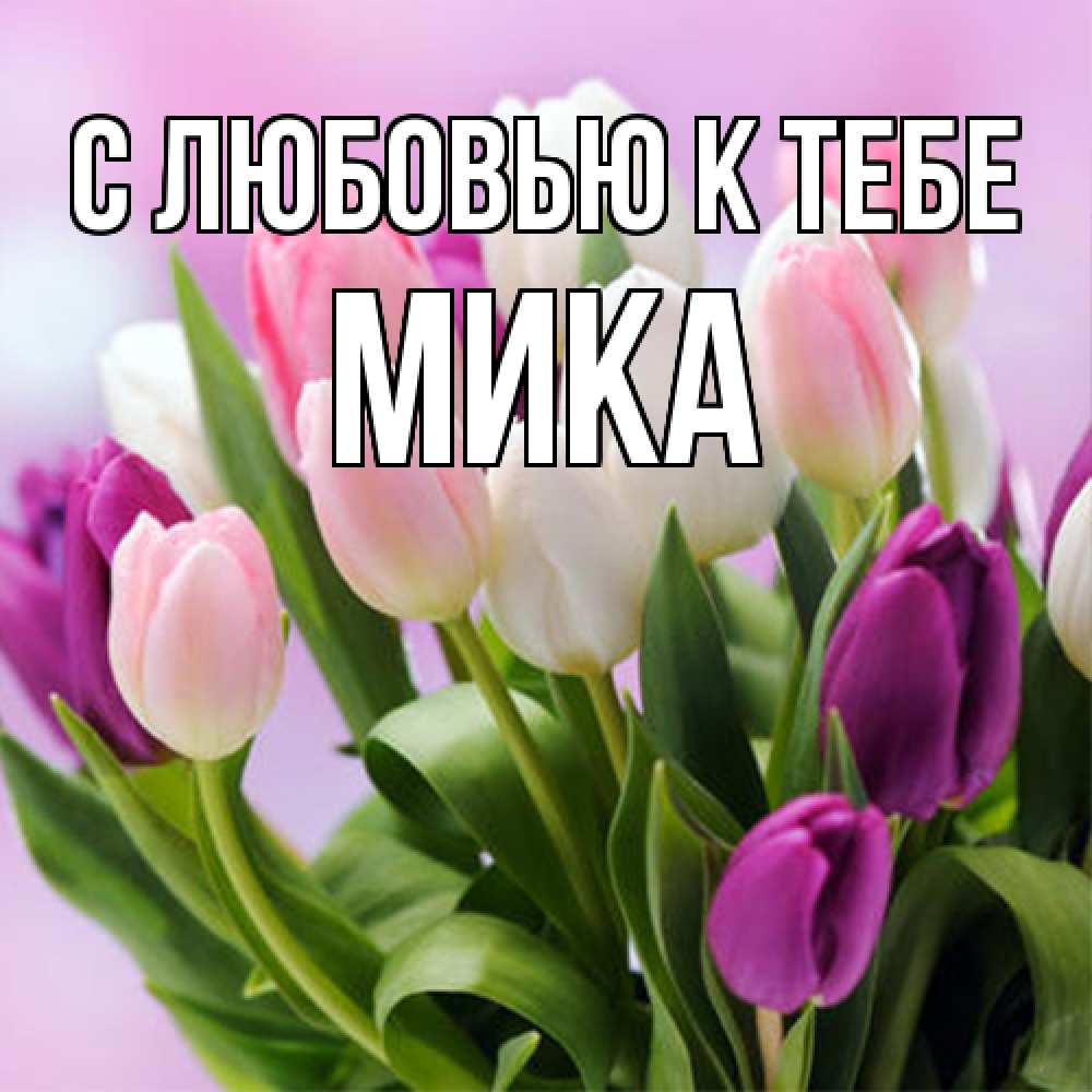 Открытка  с именем. мика, С любовью к тебе  