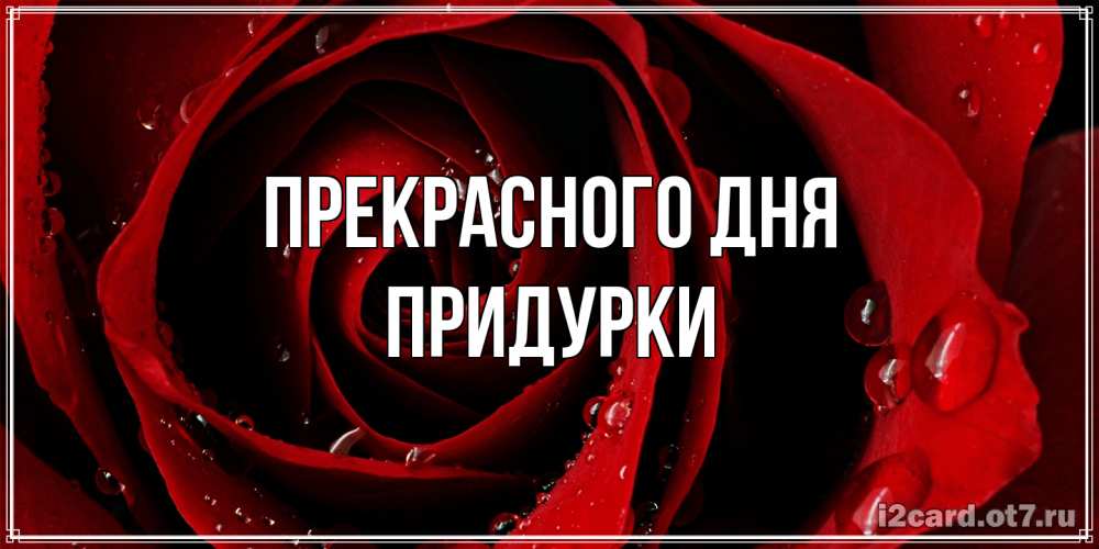 Открытка  с именем. Придурки, Прекрасного дня  