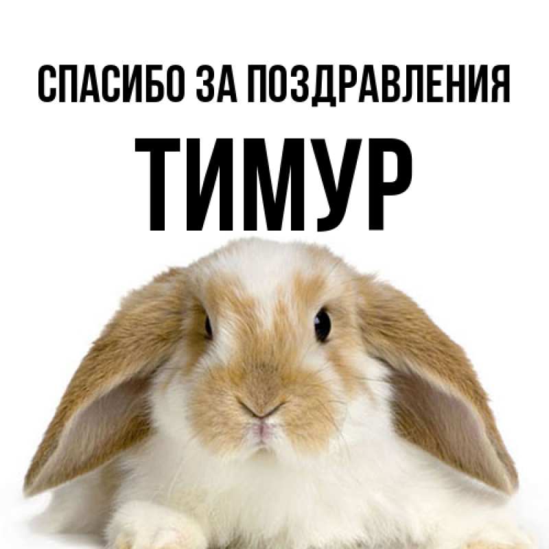 Картинка Спасибо за поздравления, Тимур