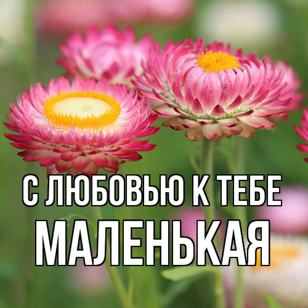 Открытка  с именем. Маленькая, С любовью к тебе  