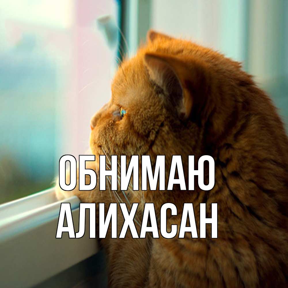 Открытка  с именем. АлиХасан, Обнимаю  