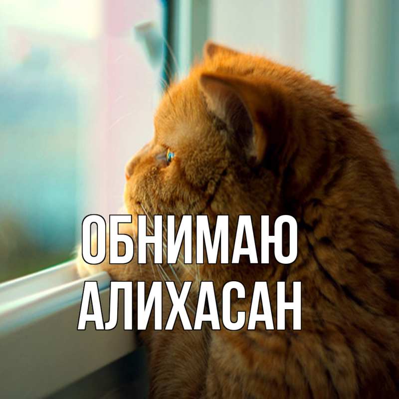 Картинка Обнимаю, АлиХасан