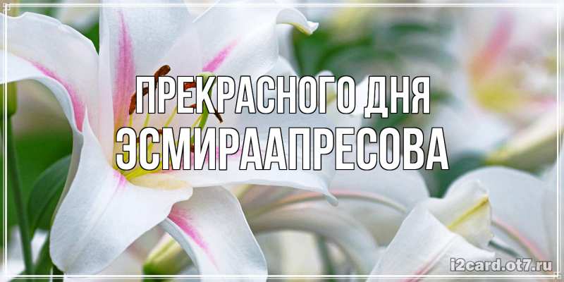 Картинка Прекрасного дня, ЭсмираАпресова