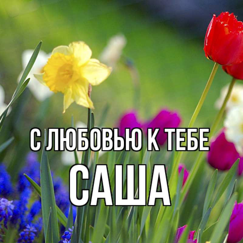 Картинка С любовью к тебе, Саша