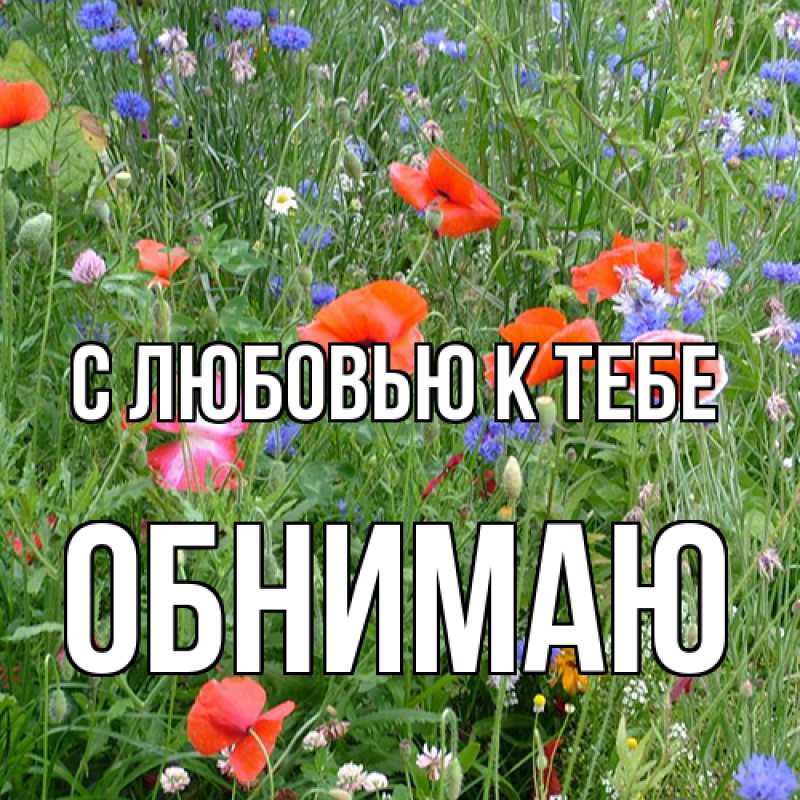 Картинка С любовью к тебе, Обнимаю