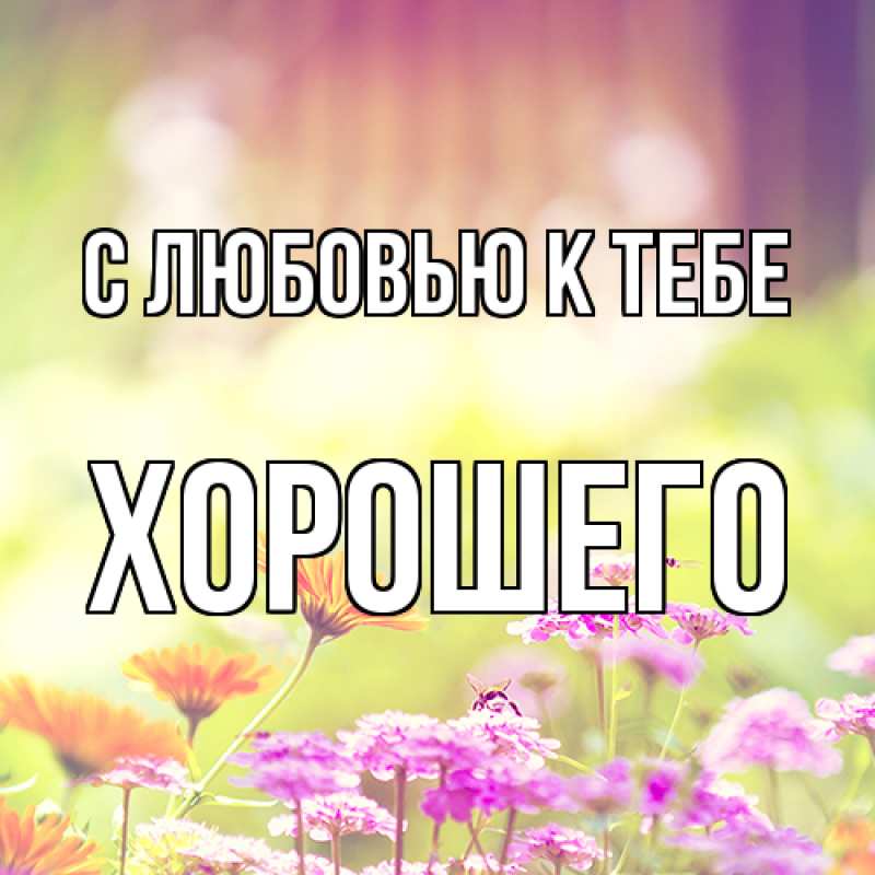 Картинка С любовью к тебе, Хорошего