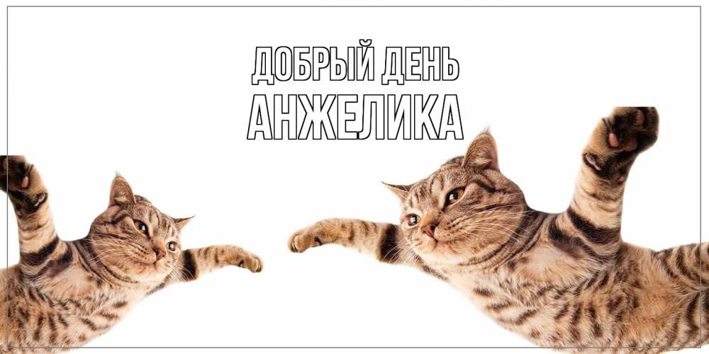 Открытка  с именем. Анжелика, Добрый день  