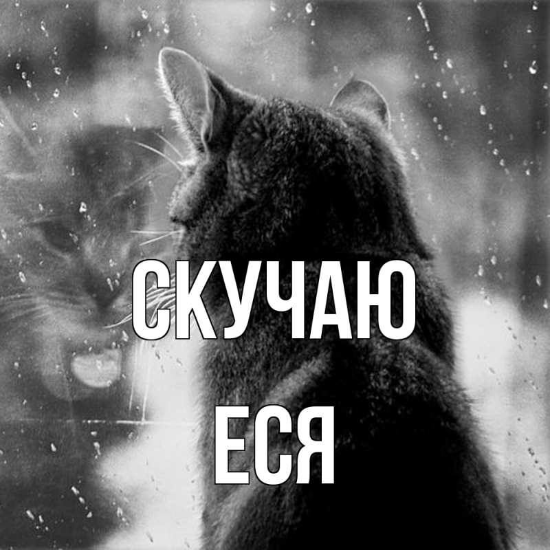 Картинка Скучаю, Еся