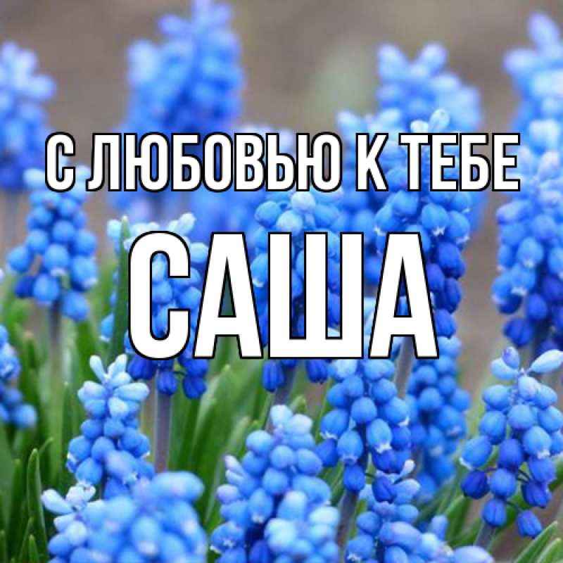 Картинка С любовью к тебе, Саша