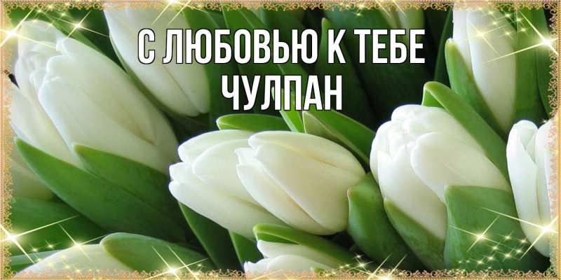 Картинка С любовью к тебе, Чулпан