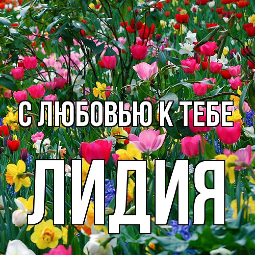 Открытка  с именем. лидия, С любовью к тебе  