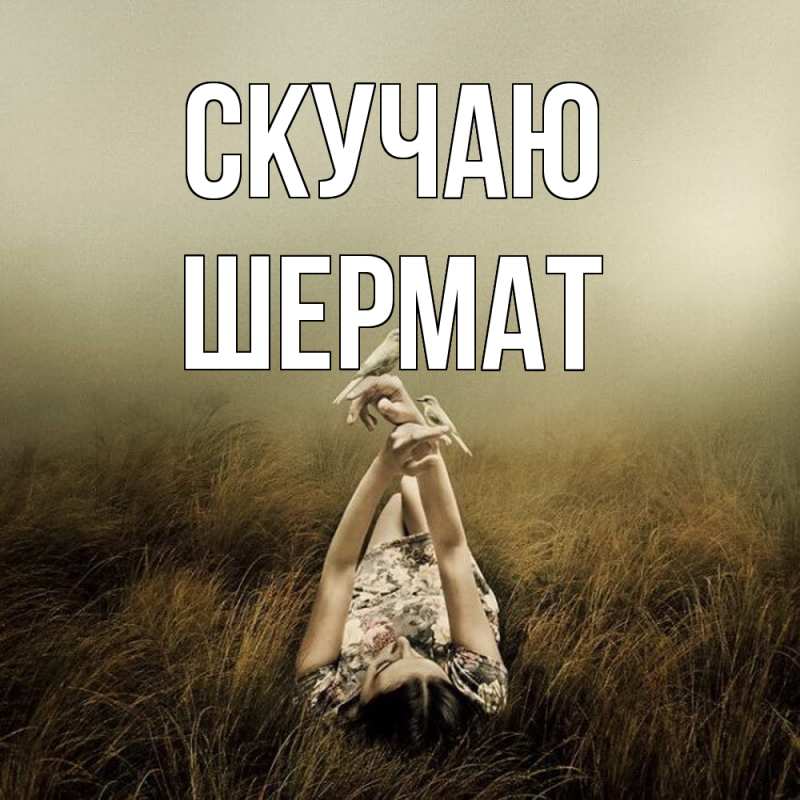 Картинка Скучаю, Шермат