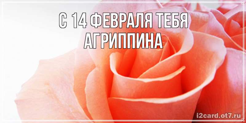 Картинка С 14 февраля тебя, Агриппина
