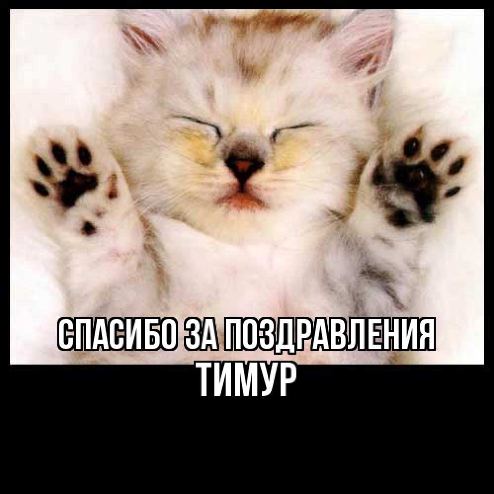 Открытка  с именем. Тимур, Спасибо за поздравления  