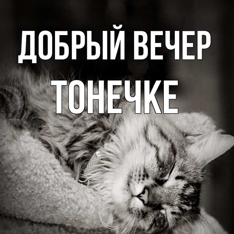 Картинка Добрый вечер, Тонечке