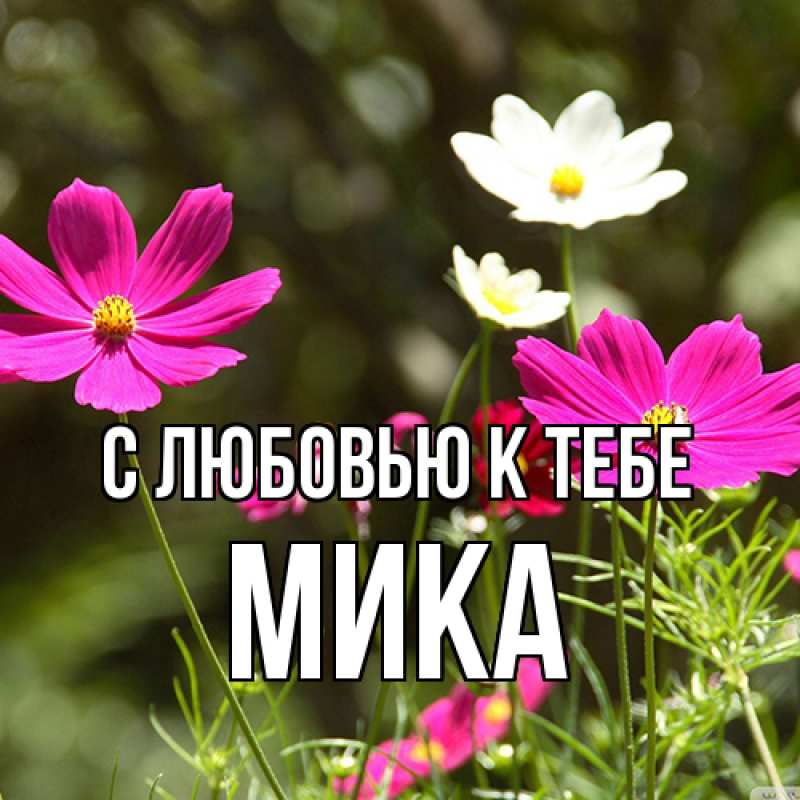 Картинка С любовью к тебе, мика