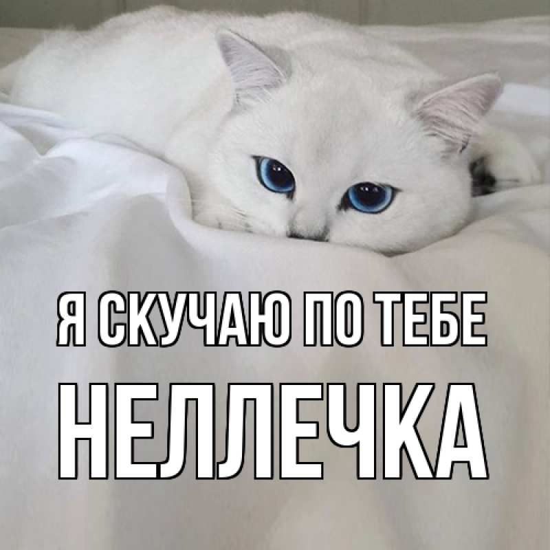 Картинка Я скучаю по тебе, Неллечка