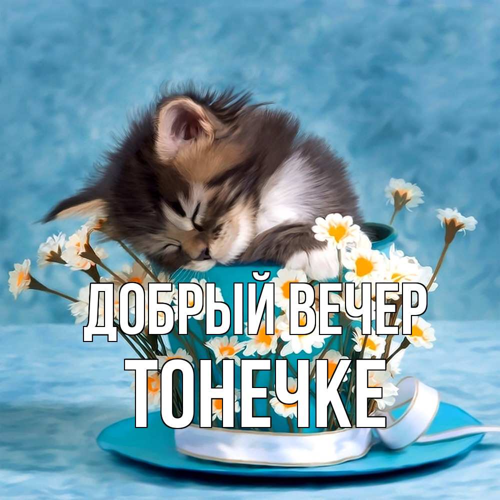Открытка  с именем. Тонечке, Добрый вечер  