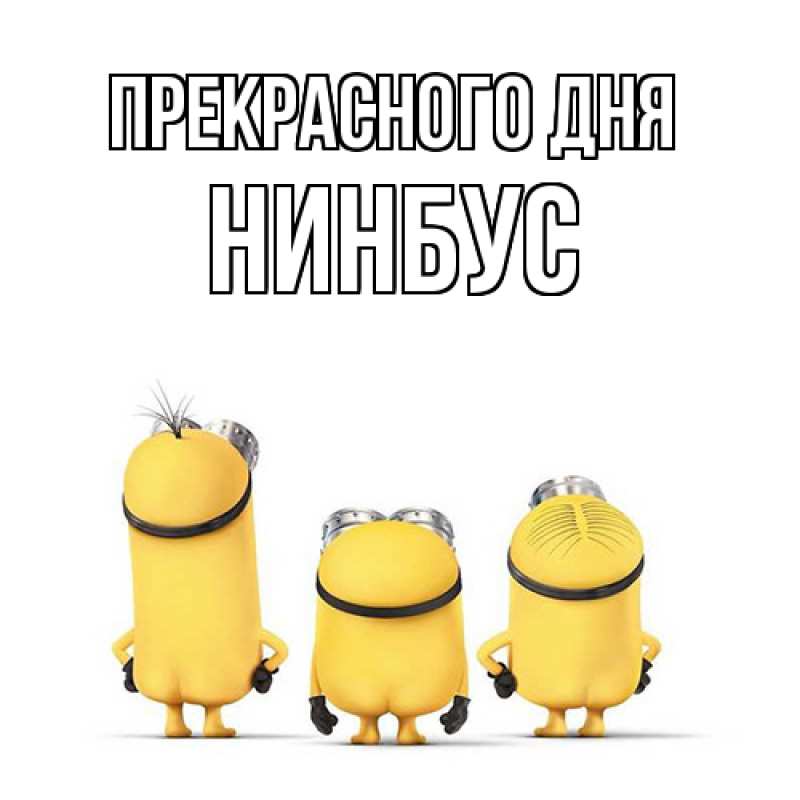 Картинка Прекрасного дня, нинбус