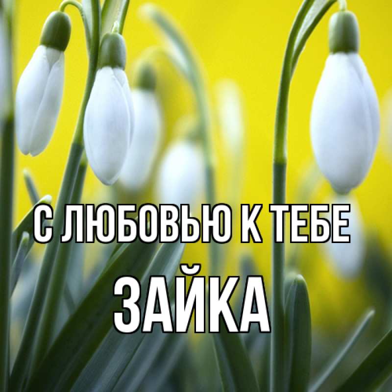 Картинка С любовью к тебе, Зайка