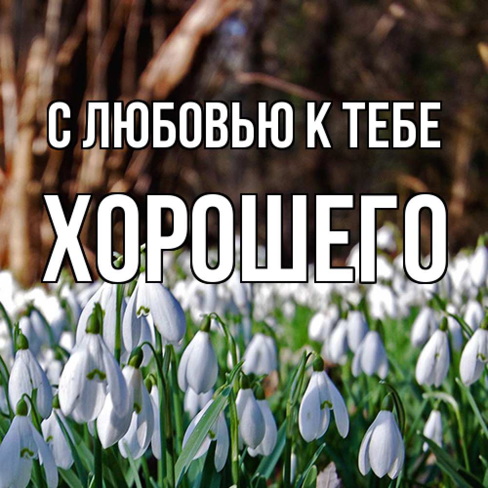 Открытка  с именем. Хорошего, С любовью к тебе  