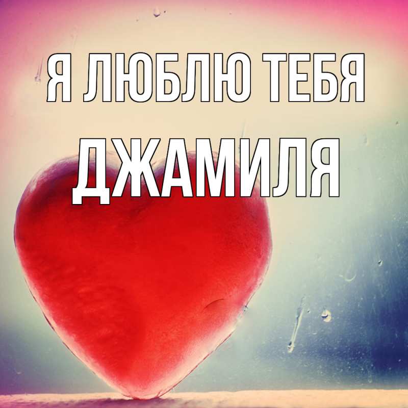 Картинка Я люблю тебя, Джамиля