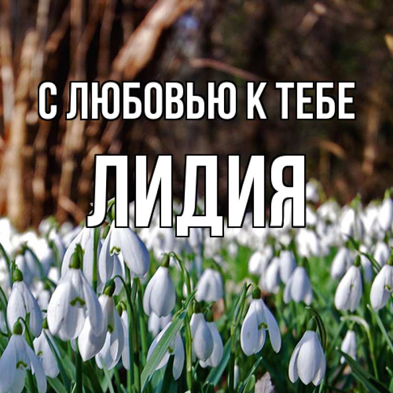 Картинка С любовью к тебе, лидия